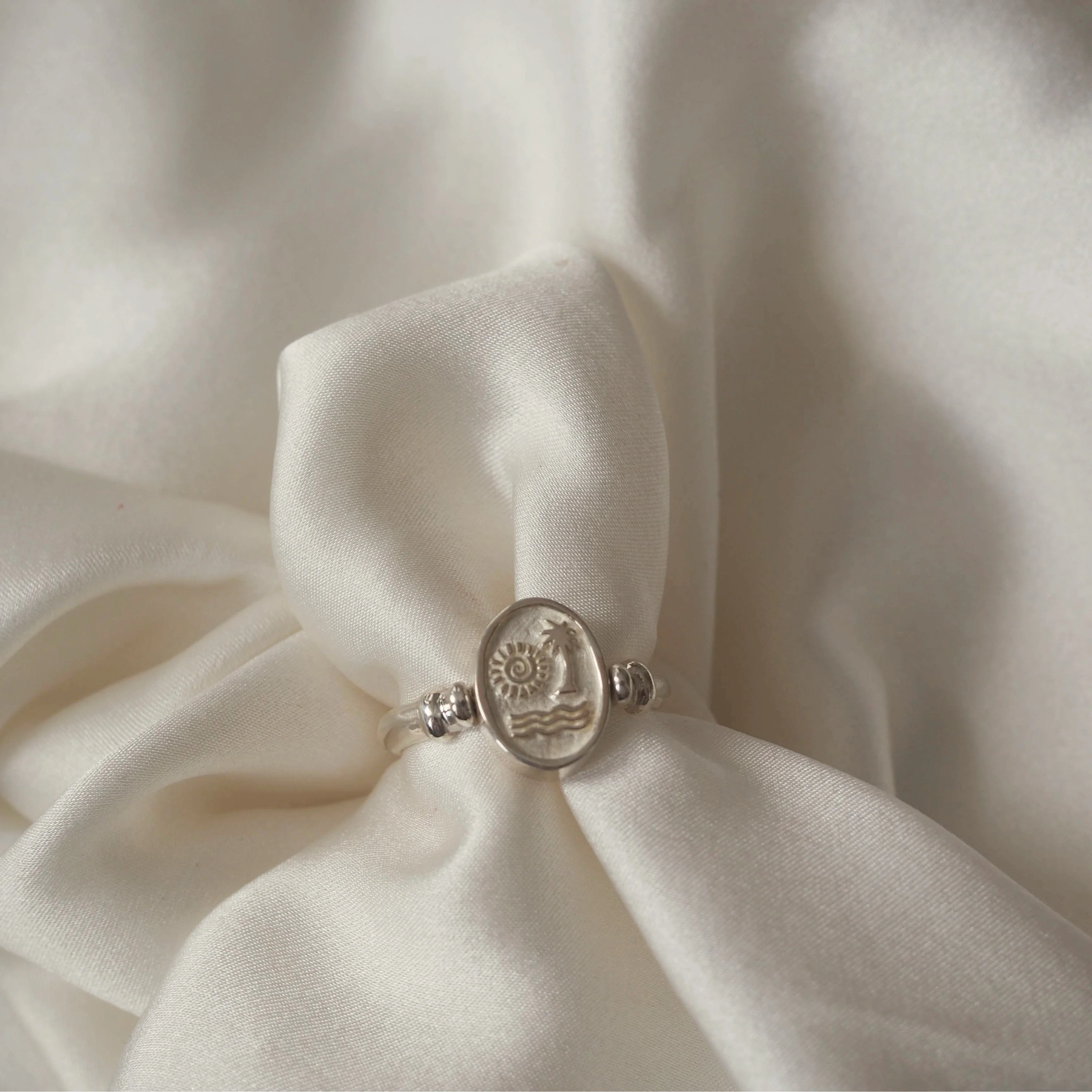Abundance Ring (Spinning) -  Silver - Image 5