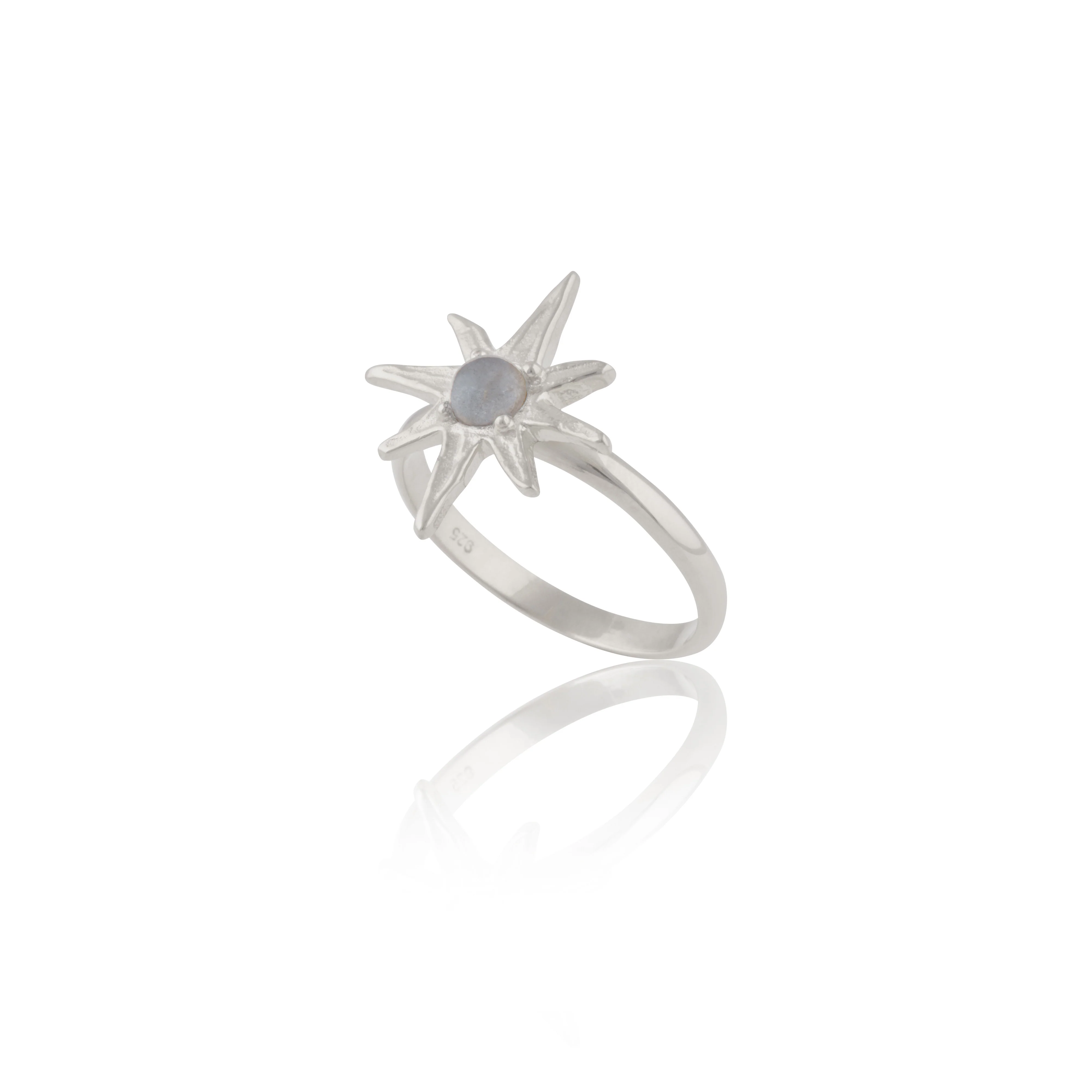 I told the stars about you Ring - Tahnee Kelland x Luna & Rose - Silver