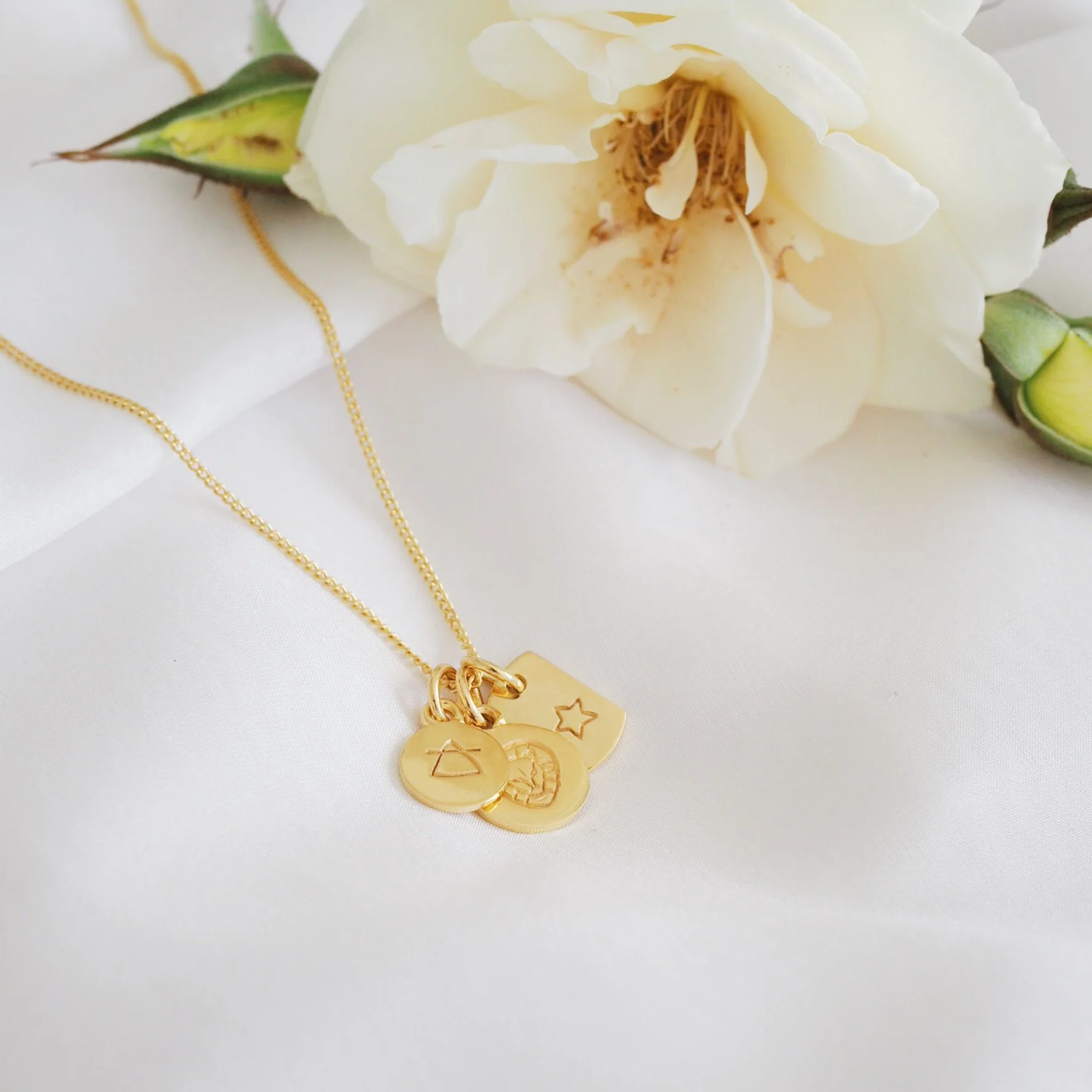 Leo Mini Zodiac Necklace - Gold - Image 5