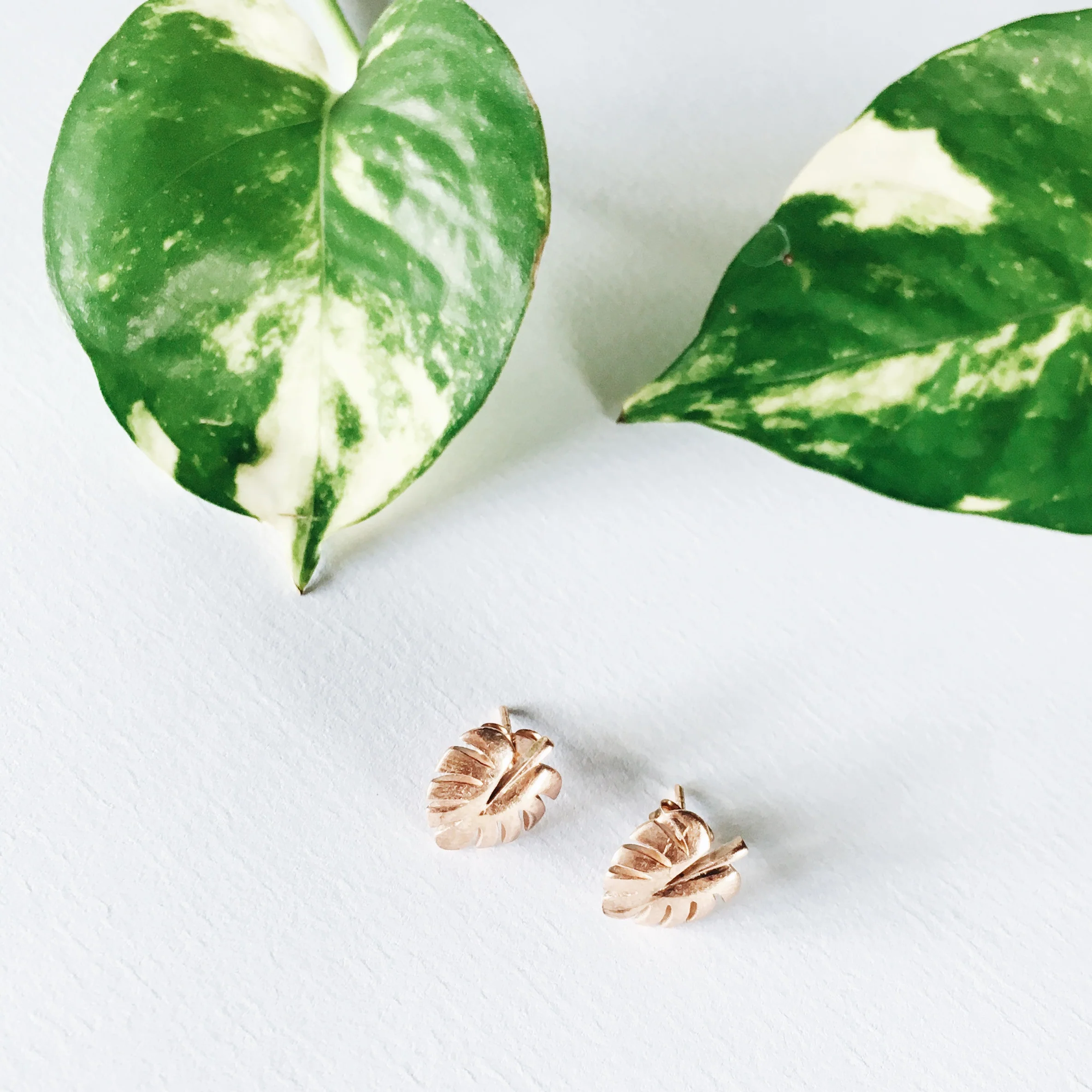 Never Leaf Me Earrings (Silver) - Image 2